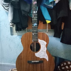 Guitar  3183