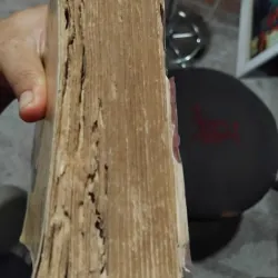 Khí công và y học hiện đại  1030440