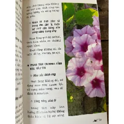 Chữa bệnh bằng màu sắc - Ted Andrews 693129