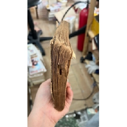 Từ triều đình huế đến chiến khu việt bắc - Phạm Khắc Hoè 137437