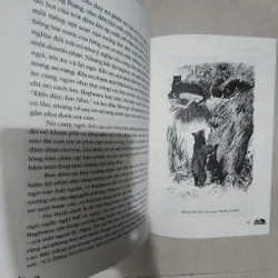 Sách Chuyện rừng xanh 715547