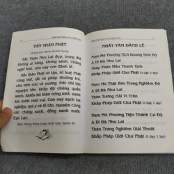 PHẬT THUYẾT ĐẠI THỪA VÔ LƯỢNG THỌ TRANG NGHIÊM THANH TỊNH BÌNH ĐẲNG GIÁC KINH 494697