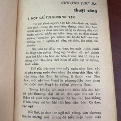 Trở về nguồn cội hoa đồng cỏ nội - Minh Hương 703325