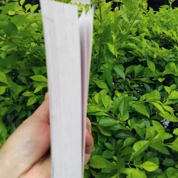 Âm thanh và cuồng nộ của William Faulkner 975211