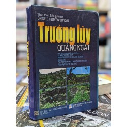 Trường luỹ Quảng Ngãi - Ôn Khê Nguyễn Tử Vân