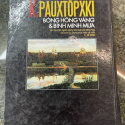 Bông hồng vàng & bình minh mưa K. Pauxtopxki 697942