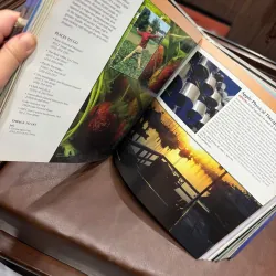 Washington Community Treasures | Sách Ảnh Du Lịch Mỹ – K3 1013582