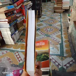 Cuộc Phiêu Lưu Của Huckleberry - Finn 574030