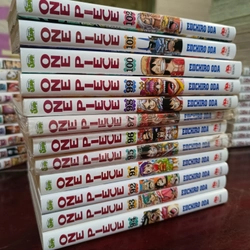 Combo 10 cuốn One Piece bìa áo tùy chọn 222554