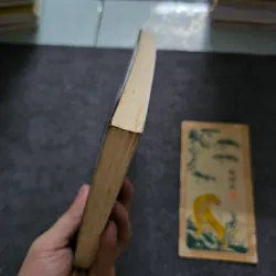 Sự sống bất tử 745493