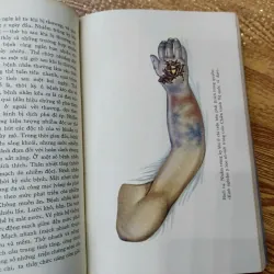 Ngoại khoa dã chiến 1009417