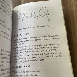 Bệnh học và điều trị ngoại khoa - khoa nhi  795861