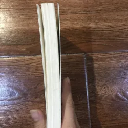 Alex - Pierre Lemaitre (6) 1002191