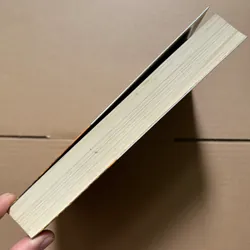 Vụ mất tích bí ẩn 734160