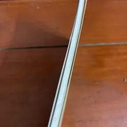 Cách nuôi mèo  1005189