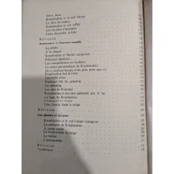 Roudoudou et Riquiqui 708800