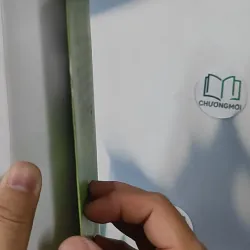 Nước mắt ngày gặp mặt - Nguyễn Văn Tàu 798366