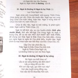 Con Xin Làm Kiếp Phù Sa - Biển Đức Đỗ Quang Vinh ( Thơ Kinh toàn tập ) 186759