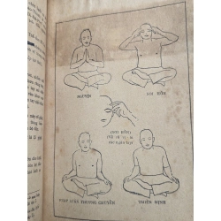 Tôi tầm đạo tìm hiểu chân lý nghiên cứu và thiền theo pháp vô vi khoa học huyền bí phật pháp 359064