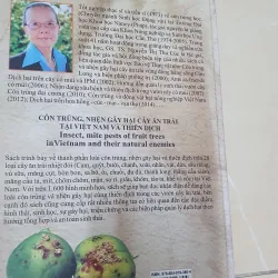 CÔN TRÙNG NHỆN GÂY HẠI CÂY ĂN TRÁI....  799628