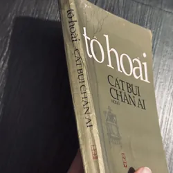 Cát bụi chân ai - Tô Hoài 684446