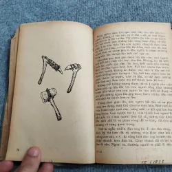 TỪ CÂY GẬY ĐẾN NHÀ MÁY TỰ ĐỘNG 688746