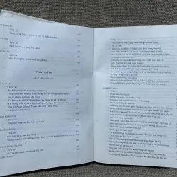 Tồng tập văn học Việt Nam tập- văn học trung đại thời Trần, Hồ  968628