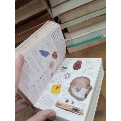 Pockets Encyclopedia - John Farndon 762375