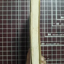 Nước Đại Nam đối diện với Pháp và Trung Hoa - Yoshiharu Tsuboi 731167