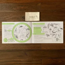 Sách ngoại văn set 4 cuốn Activity Books, Used, Bìa Mềm 756488