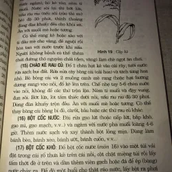 Phòng và trị bệnh theo phương pháp thực dưỡng Ohsawa 993723