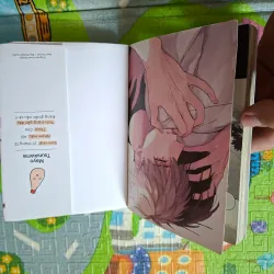 Lời Cầu Hôn Hoàn Hảo 1021259