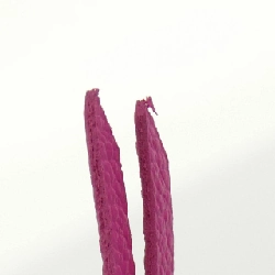 Louis Vuitton Monogram Empreinte (LV X TM) Porte Monnaie Rosalie M14086 Ví đựng tiền 621633