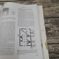 SINH LÝ HỌC Y KHOA- Tập 1-Giáo sư PHẠM ĐÌNH HỰU -ĐH Y Dược HCM  778118