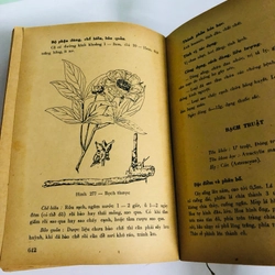 DƯỢC LIỆU VIỆT NAM  ( Bộ y tế) 540903