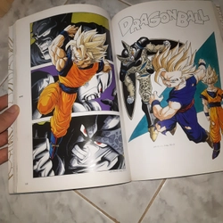 Dragon ball artwork