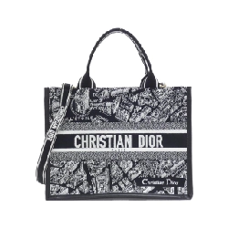 Túi xách Dior Book Tote Medium PLAN DE PARIS của Christian Dior