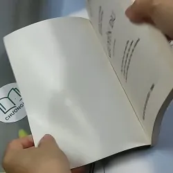 Nguyễn Du - Nhà văn và tác phẩm trong nhà trường (1999) 698560