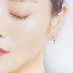 PT900 Bông tai - Hàng hiệu Chính hãng 866950