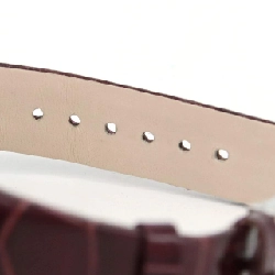 Bulgari Lucea ･12P LU36S/LU36C7SLD/11 SS tự động - Hàng hiệu Chính hãng 873955