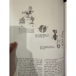 The art of bonsai - Yuji Yoshimura 927634