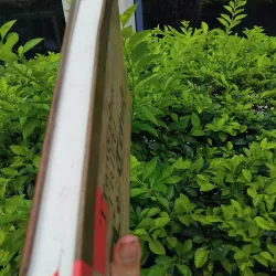 Trang phục triều Lê - Trịnh của Trịnh Quang Vũ 971396