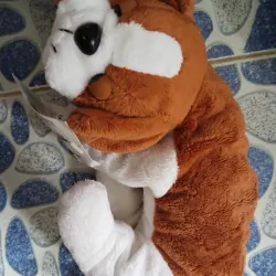 Gấu bông các loại 779726