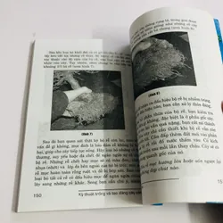 KỸ THUẬT TRỒNG & TẠO DÁNG CÂY CẢNH 595095
