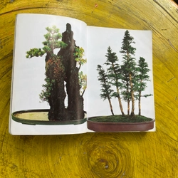 BONSAI TOÀN THƯ- HARRY TOMLINSON 543393