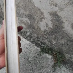 Truyện ngắn Sê khốp ( Tsekhov )  1025107