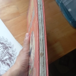 Mít Đặc ở xứ Mặt Trời 505701