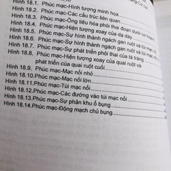 GIẢI PHẪU NGỰC - BỤNG / GIẢI PHẪU NGƯỜI  530569
