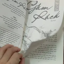 Gấm rách - Phỉ Ngã Tư Tồn 688659