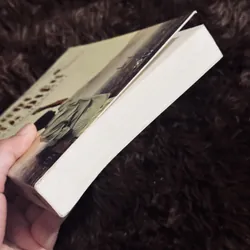 Người đua diều 714609